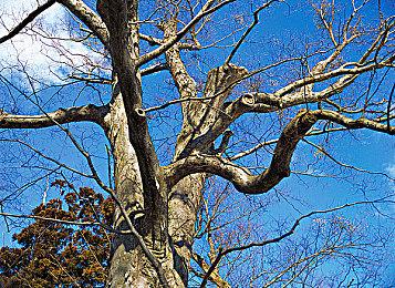 PS4版《原神》今年9月下架PS商店 明年正式结束服务