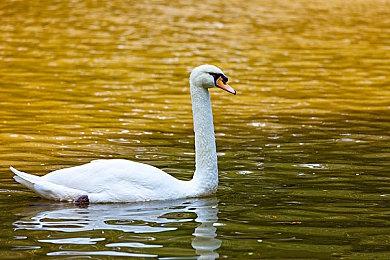 《极品飞车：不羁》官方PC系统需求公布